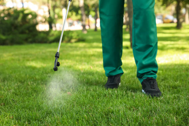 Best Insect Control  in Lemmon Valley, NV