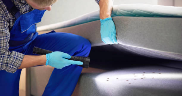 Best Best Pest Control Companies  in Lemmon Valley, NV
