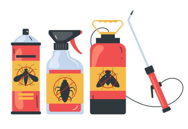 Wasp Removal Services in Lemmon Valley, NV